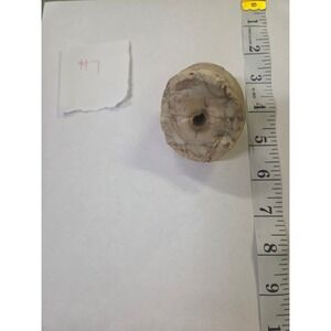 Native American Artifact Natural Rock 2 Inch, Hand ground stone.